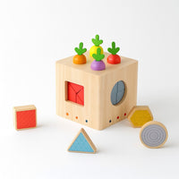 LESENA IGRAČA ZA VSTAVLJANJE – korenje in geometrija