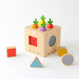 LESENA IGRAČA ZA VSTAVLJANJE – korenje in geometrija